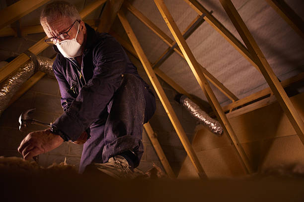 Best Residential Insulation in Venice, FL